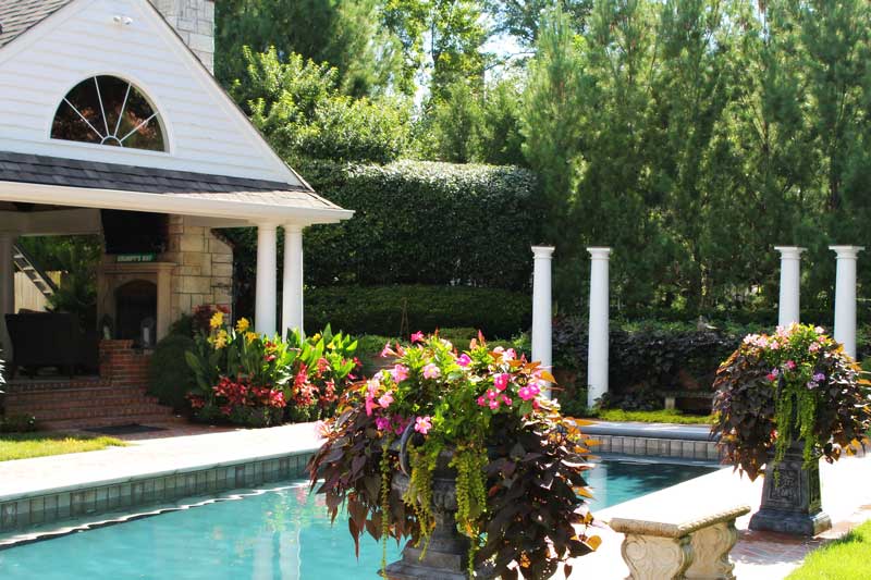 landscaping around pool